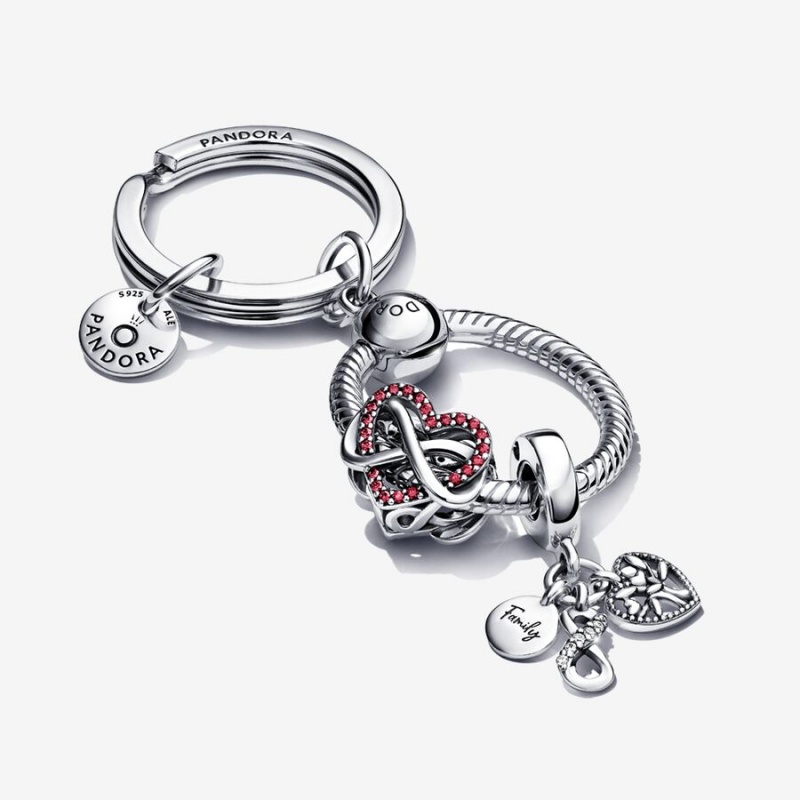 Pandora Charm Holders Silber | 4915602-IX