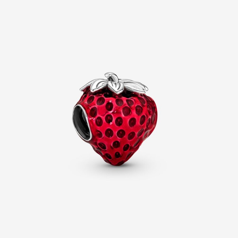 Pandora Charm Holders Silber | 9683410-XG