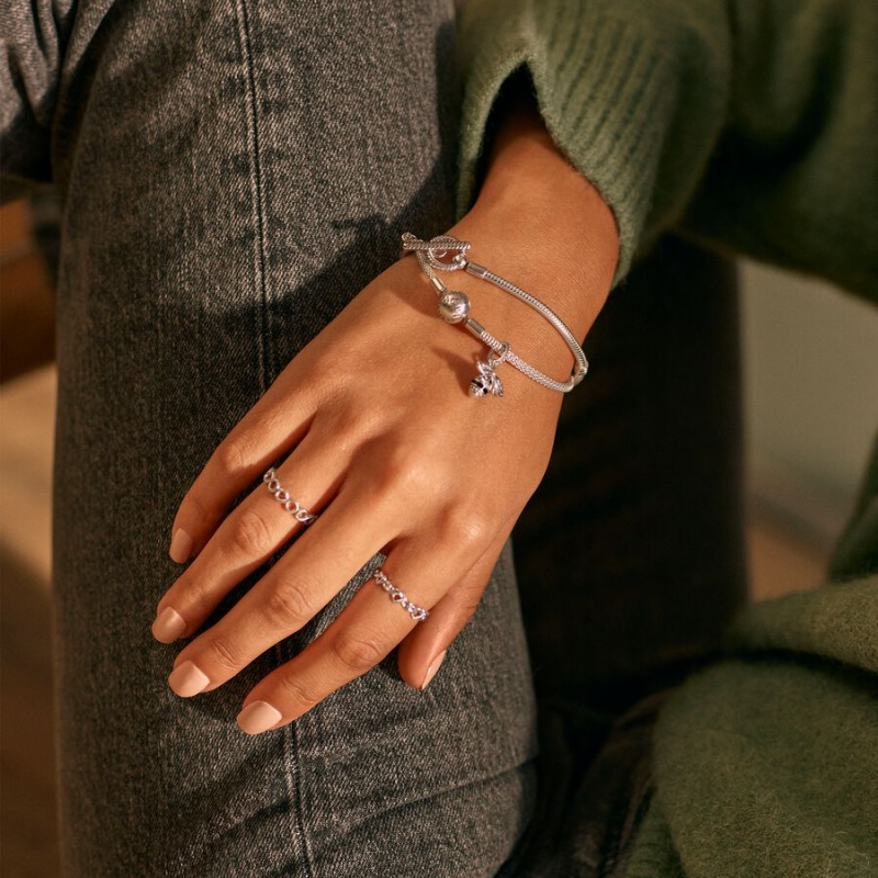Pandora Moments Mesh Charm Holders Silber | 1524783-NA