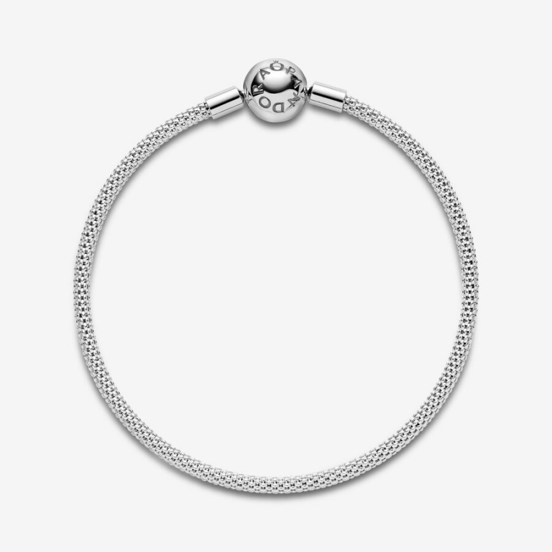 Pandora Moments Mesh Charm Holders Silber | 1524783-NA