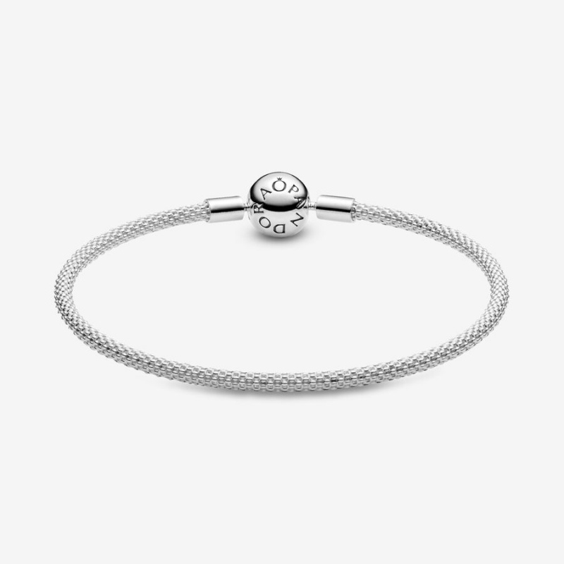 Pandora Moments Mesh Charm Holders Silber | 1524783-NA