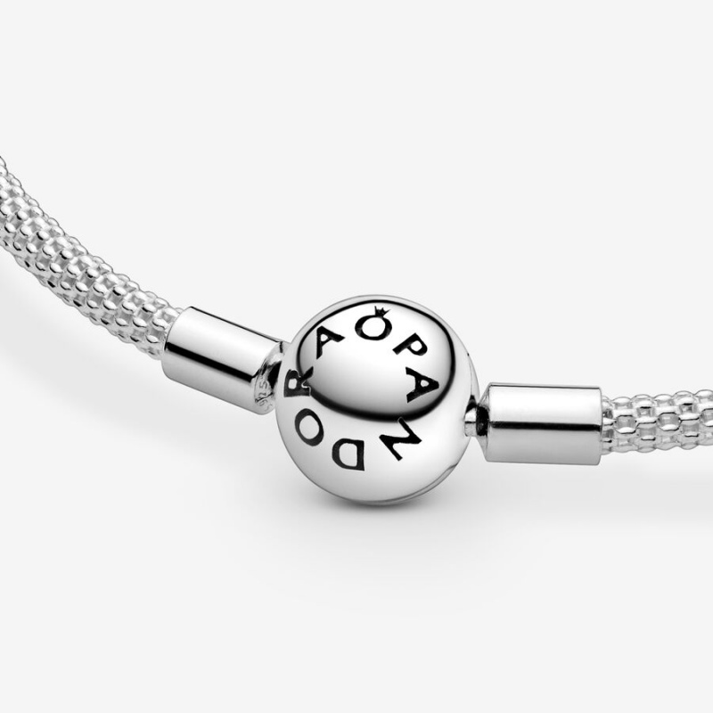 Pandora Moments Mesh Charm Holders Silber | 1524783-NA