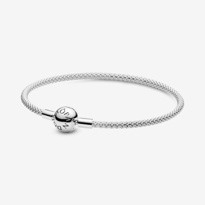 Pandora Moments Mesh Charm Holders Silber | 1524783-NA