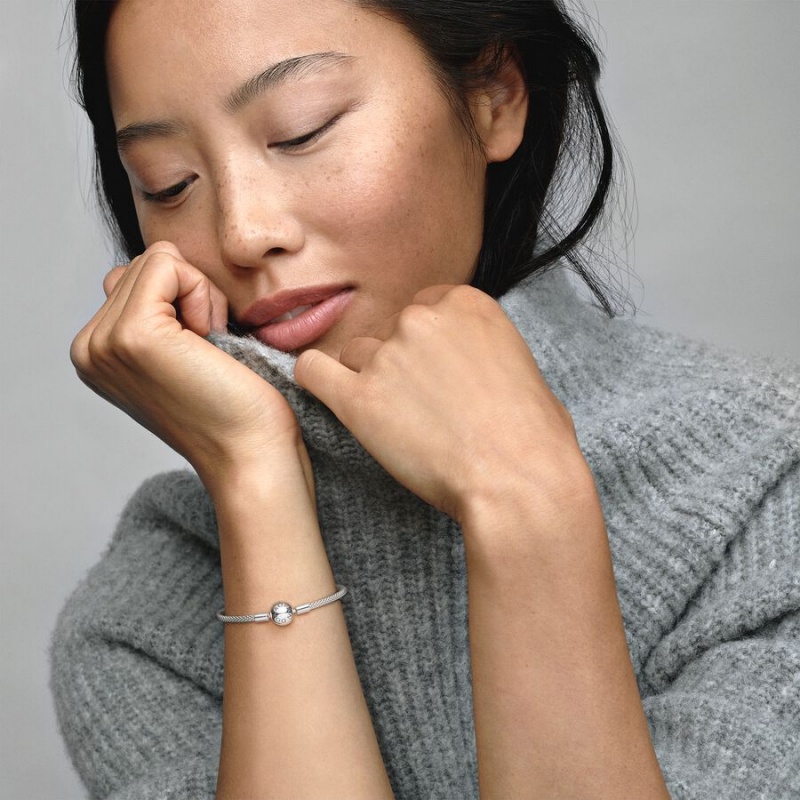 Pandora Moments Mesh Charm Silber | 5104389-HO