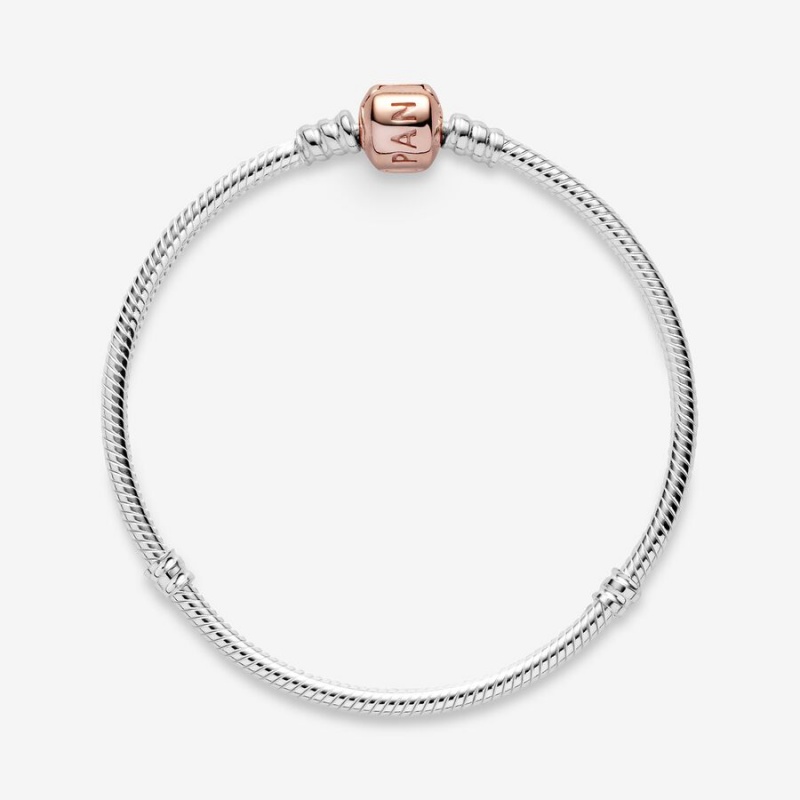 Pandora Moments Snake Charm Holders Two-tone | 7926530-SA