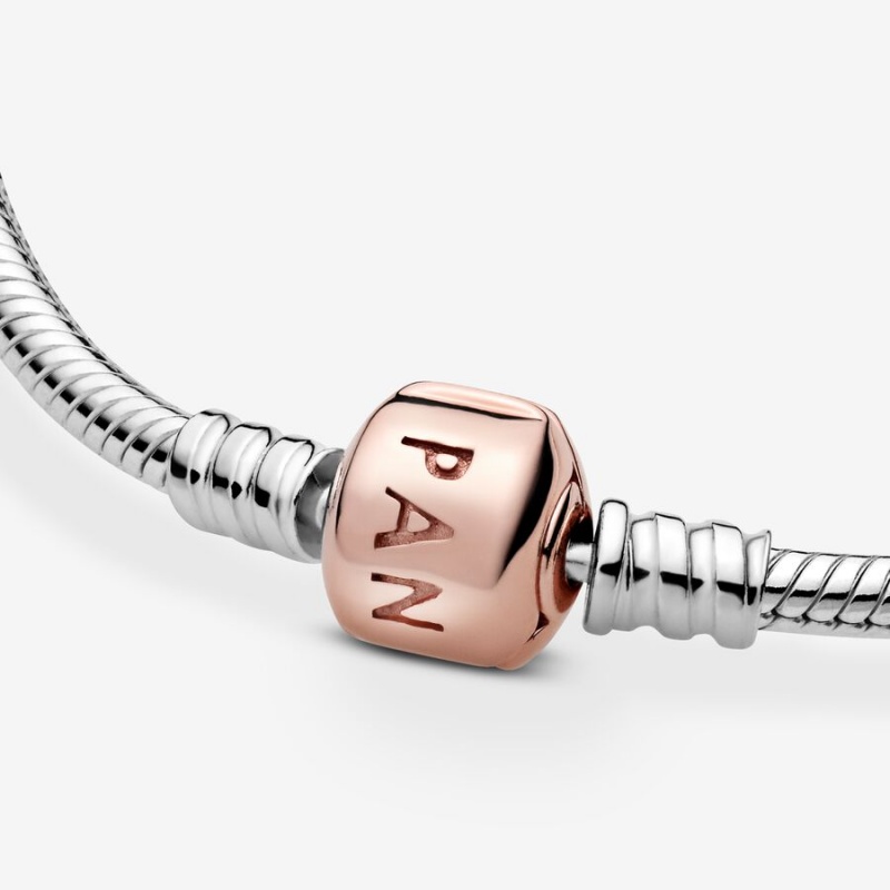 Pandora Moments Snake Charm Holders Two-tone | 7926530-SA