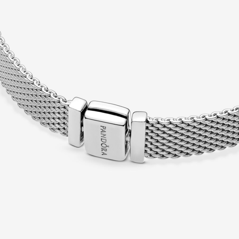 Pandora Reflexions™ Mesh Charm Holders Silber | 7519432-RJ