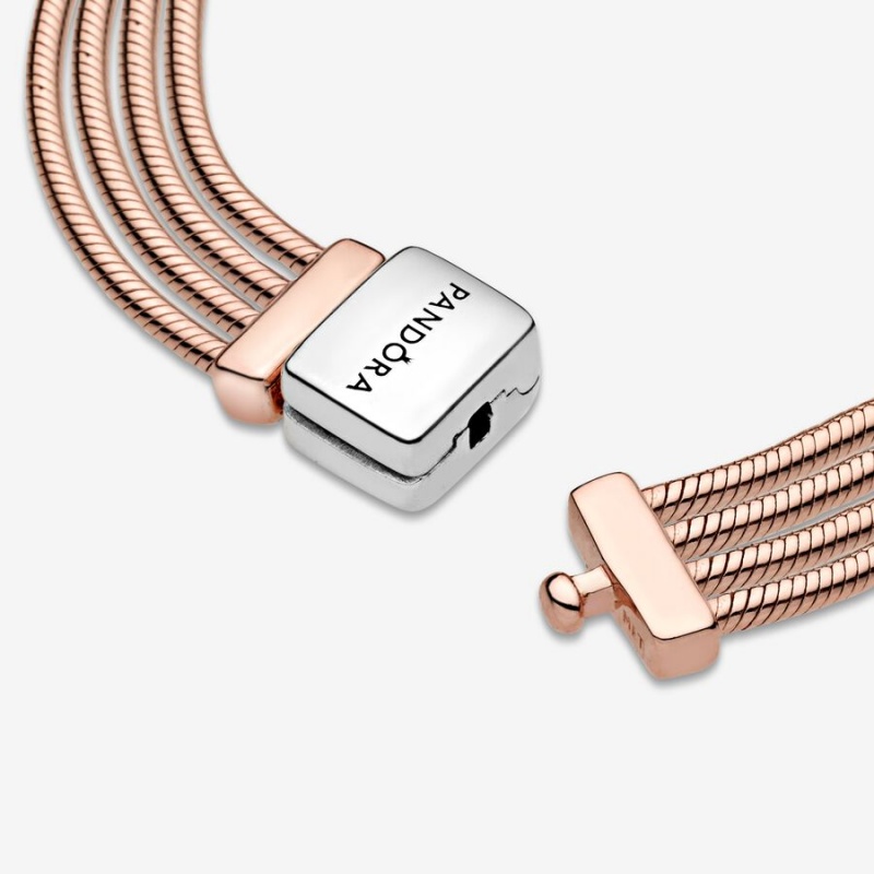 Pandora Reflexions™ Multi Snake Charm Holders Two-tone | 4218753-IG