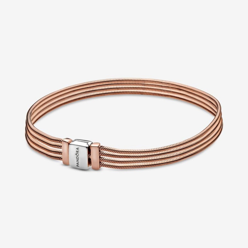Pandora Reflexions™ Multi Snake Charm Holders Two-tone | 4218753-IG