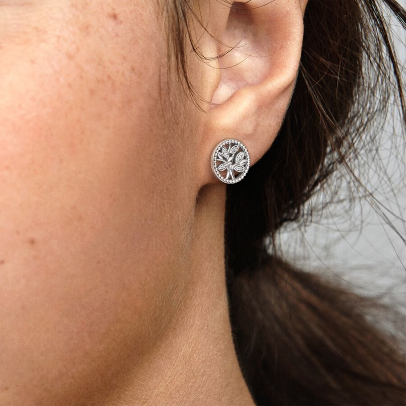 Pandora Sparkling Family Trees Ohrstecker Silber | 3698427-AN