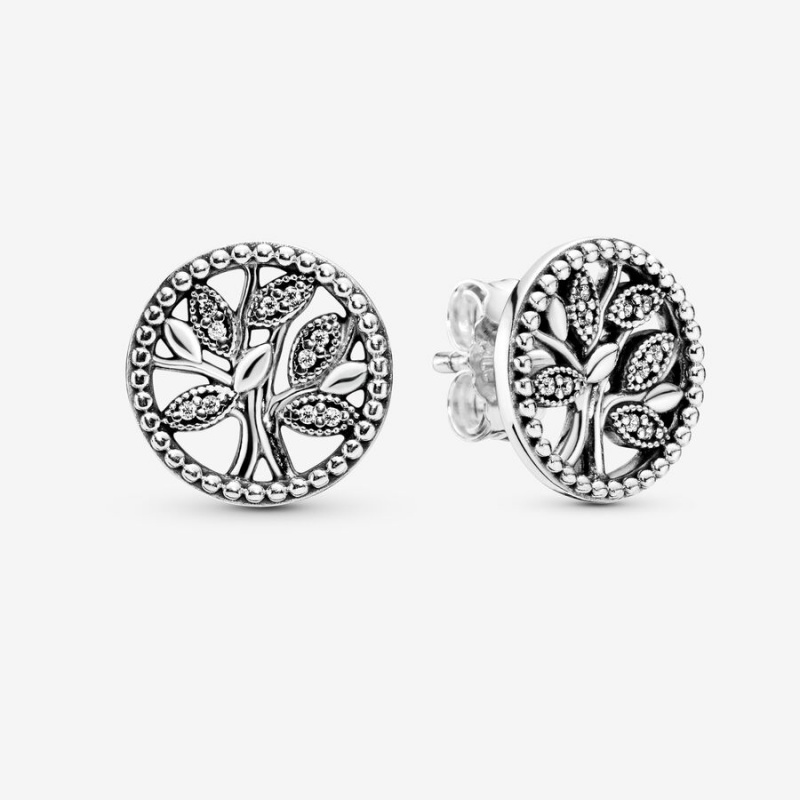 Pandora Sparkling Family Trees Ohrstecker Silber | 3698427-AN