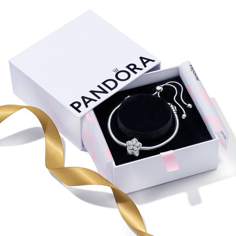 Pandora Sparkling Snowflake Sliding Set Charm Holders Silber | 2690814-LD