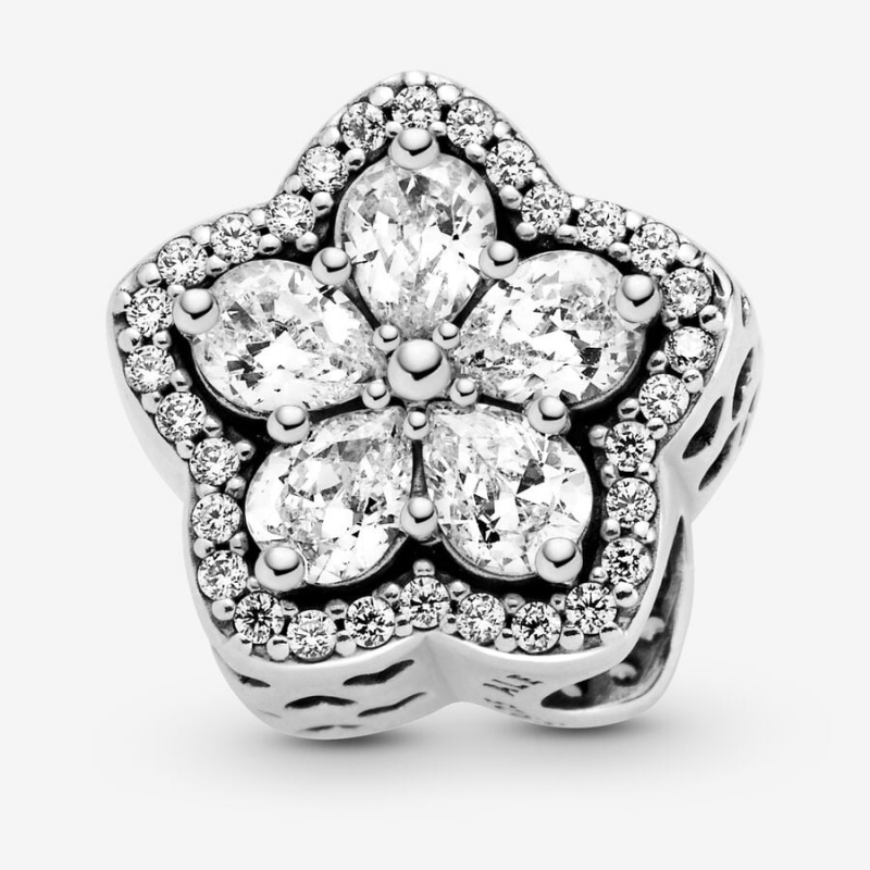 Pandora Sparkling Snowflake Sliding Set Charm Holders Silber | 2690814-LD